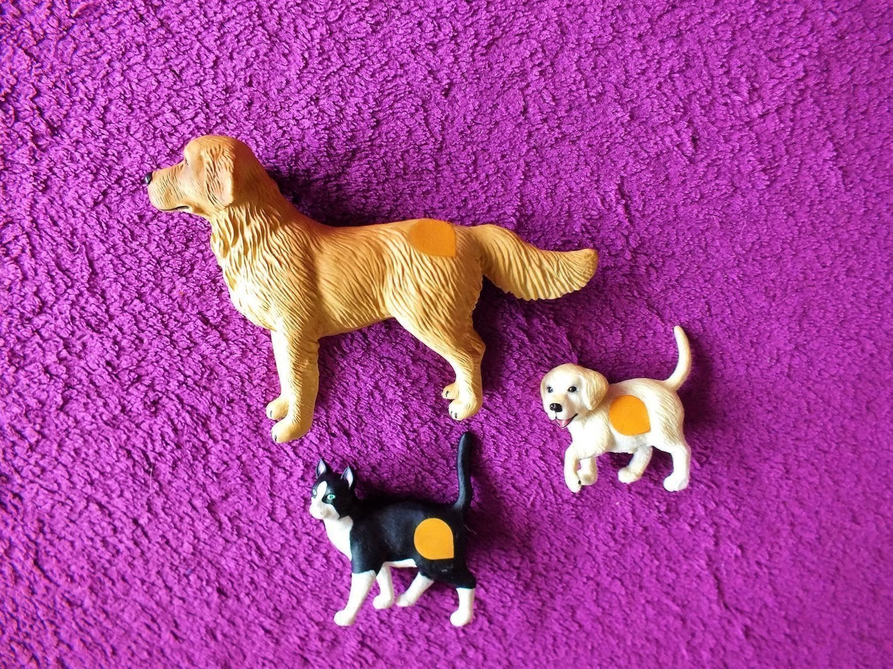 Ravensburger Jeux: tiptoi Tier Hunde Set - Golden Retriever – D'occasion à Müllheim Dorf par Seeeule01 7