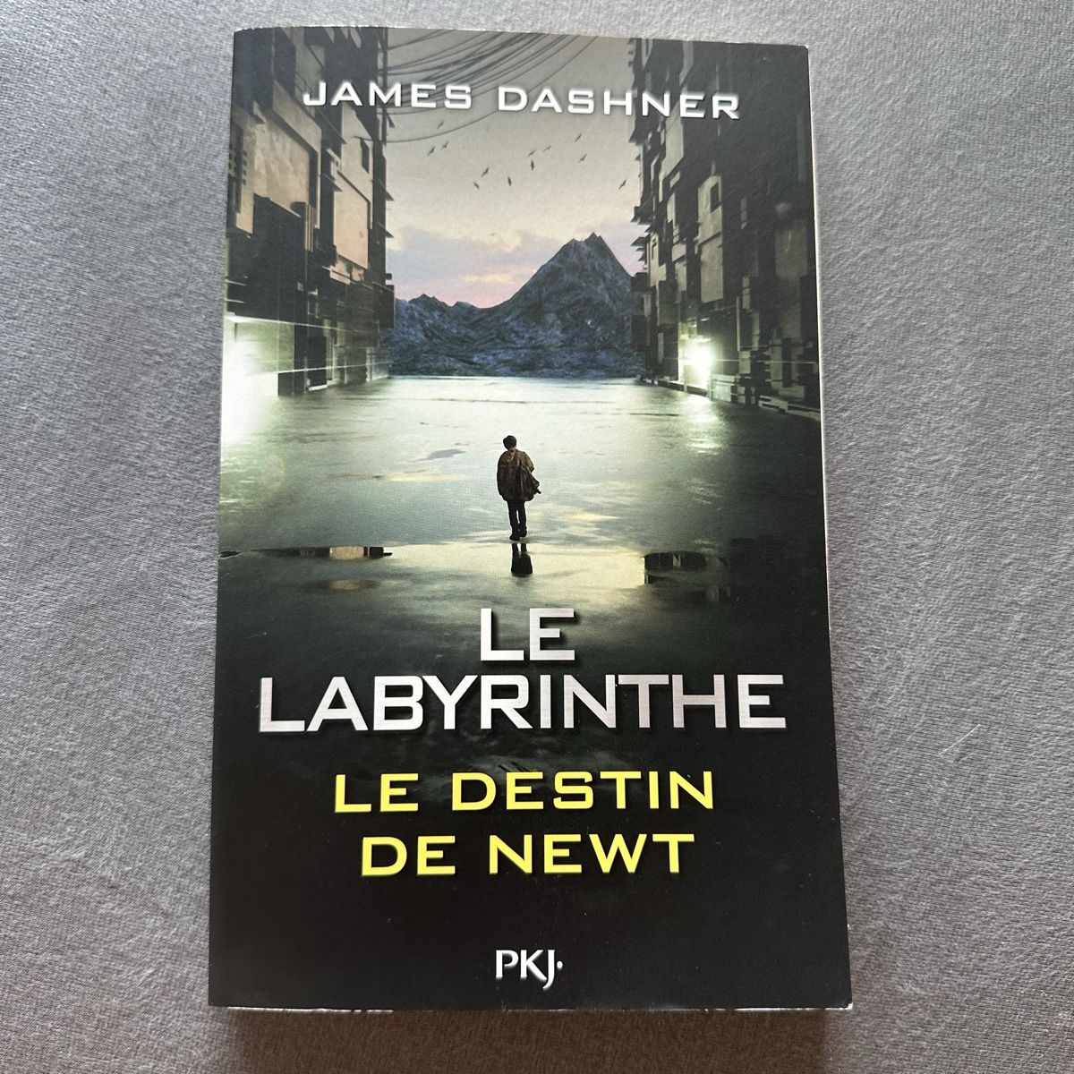 Libri: Le Labyrinthe, Le destin de Newt -  James Dashner – Usato da  venduto da