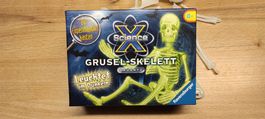 Leucht Skelett Ravensburger ScienceX 30cm, ab 8J.