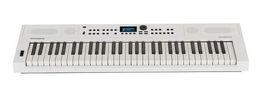 Keyboard Roland GO:KEYS 5 (weiss)