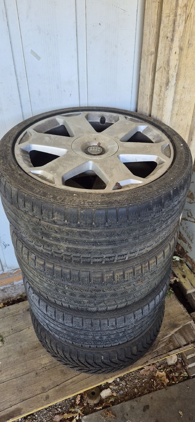 Pneumatici & Ruote complete: Audi Original Räder – Usato da Effingen venduto da manulieni94