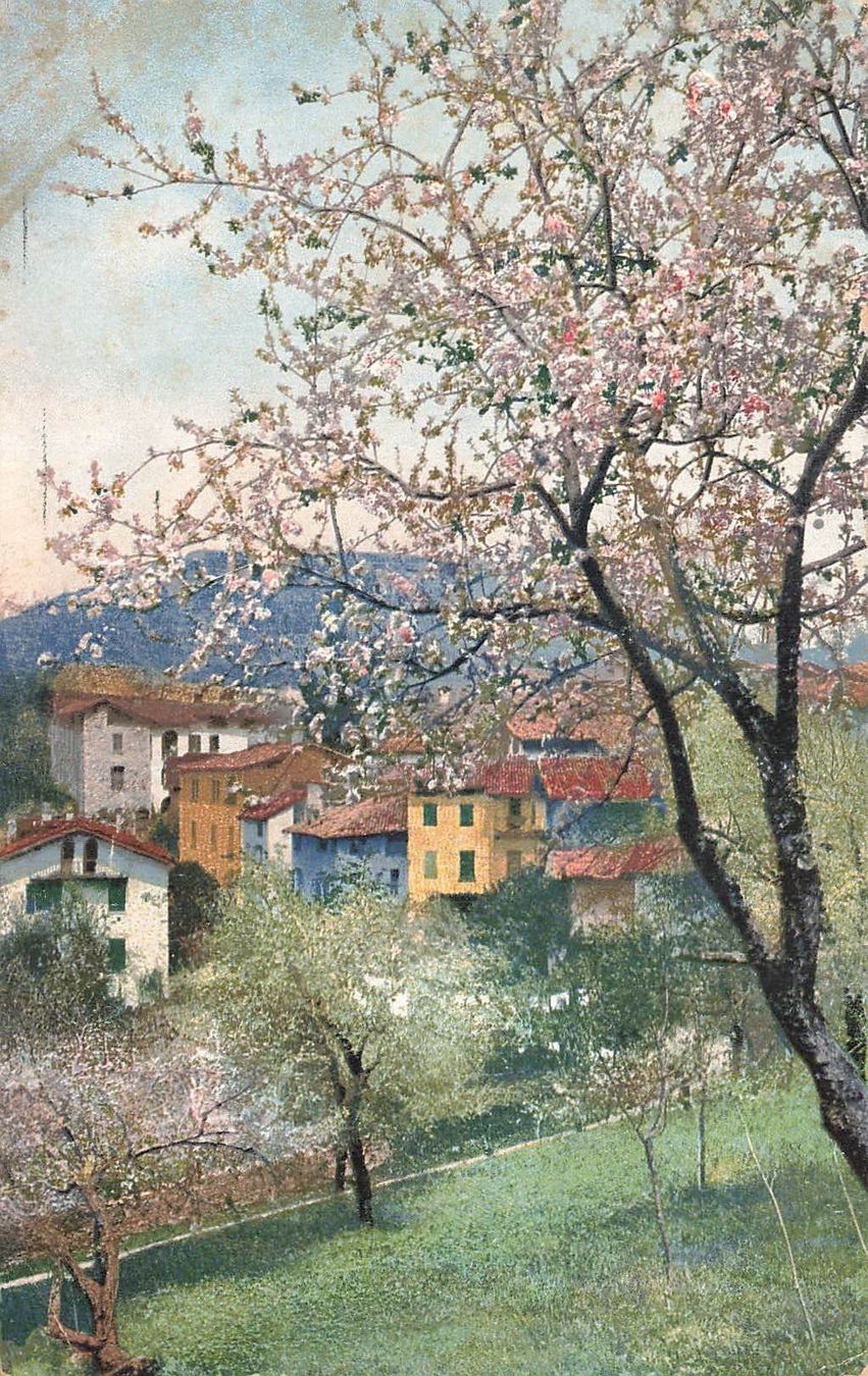 Cartoline postali: Castagnola – Usato da Biasca venduto da Blenio71