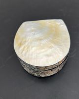 Muscheldose