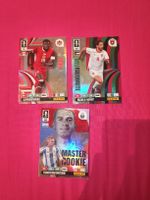 Panini Silver WM 2026