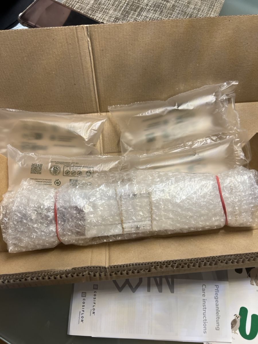 Markisen: Plissee – Neu und originalverpackt aus zuerich von yvro01 1