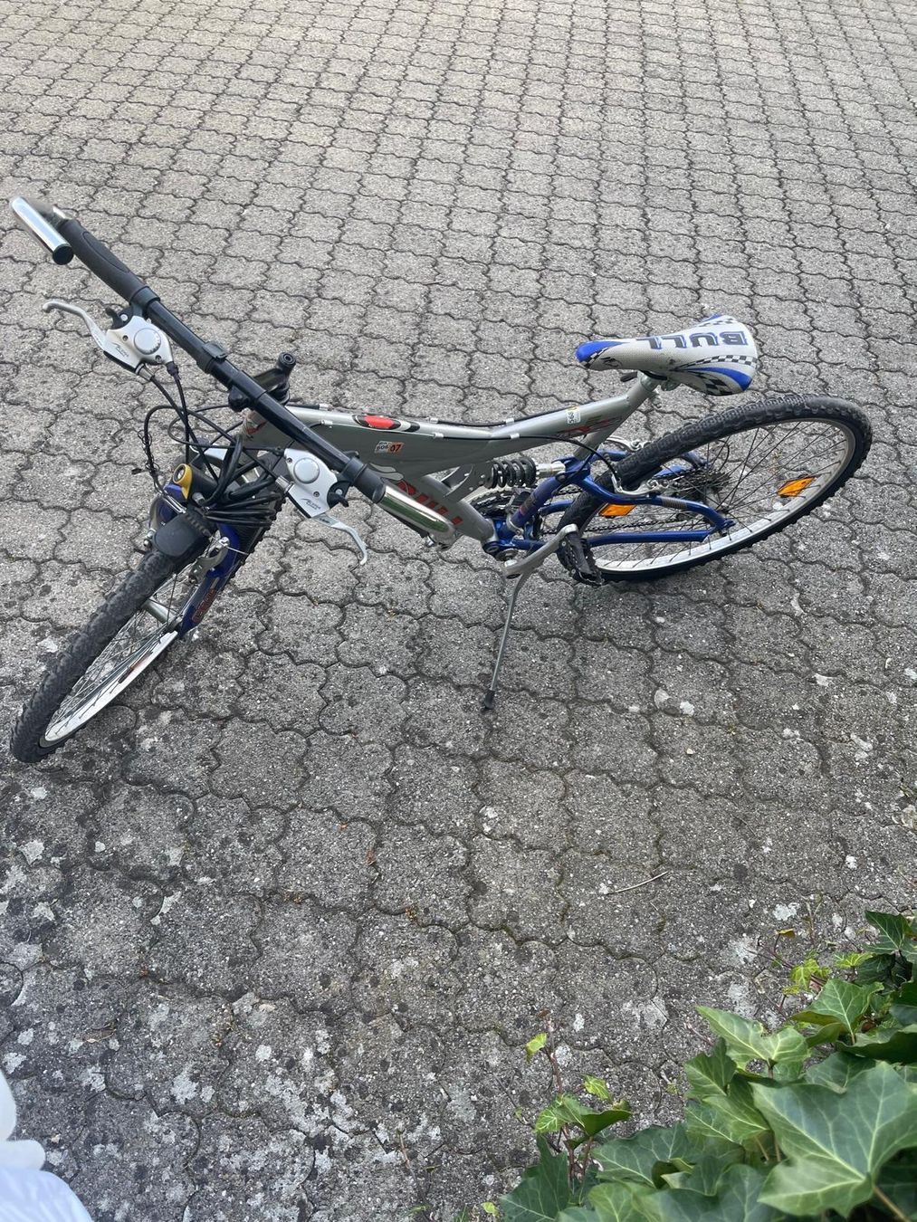 Biciclette: Mountainbike Bull – Usato da Zürich venduto da pilot25 2