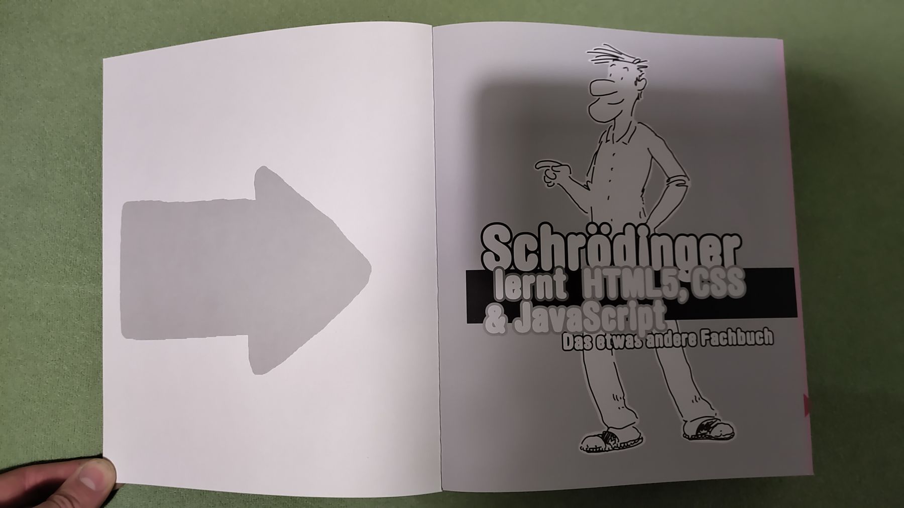 Bücher: Schrödinger lernt HTML5,CSS,JavaScript - Top Zustand! – Gebraucht aus Walenstadt von risoluto 1