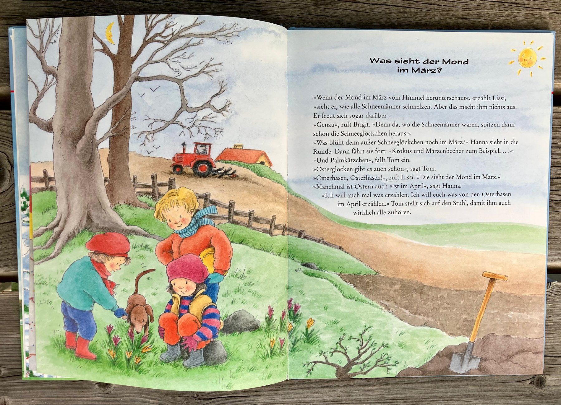 Libri: 12 Monate hat das Jahr – Usato da Winterthur venduto da Barunggeli 4