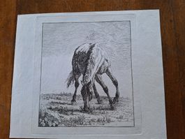 HUBER.  CHEVAL XVIIIeme