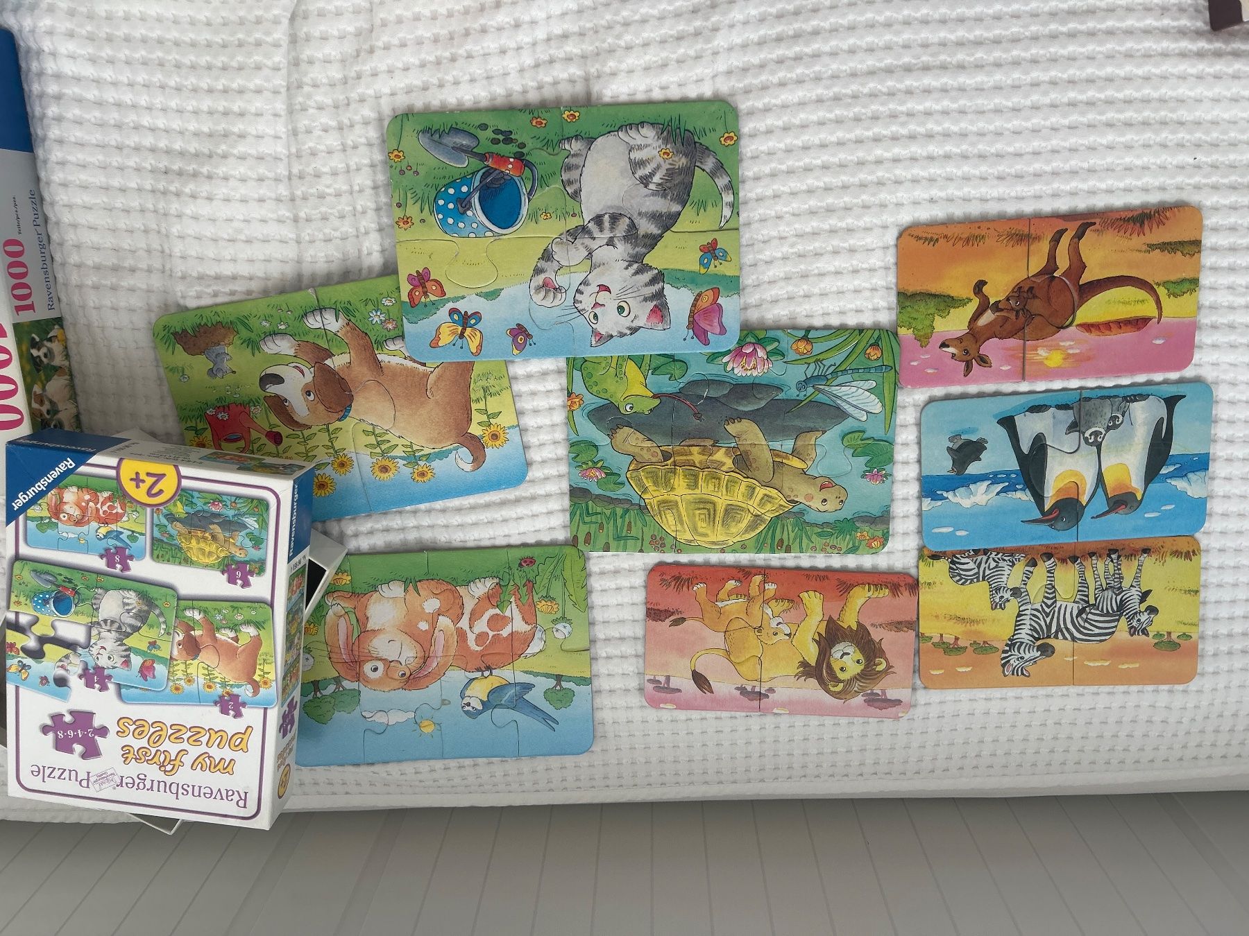 Puzzle: Ravensburger Mini Steps Puzzle Set, 12+ Monate, Top! – Usato da Malters venduto da Valbona_K91 1
