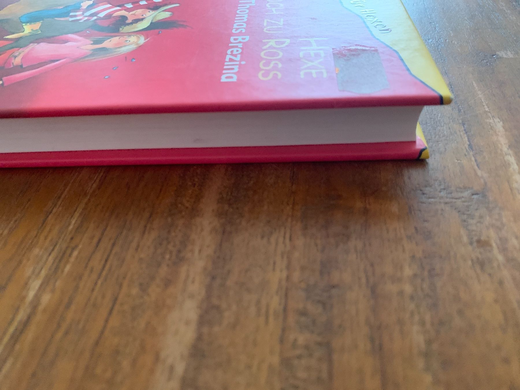 Libri: Hexe hoch zu Ross , No Jungs – Usato da Regensdorf venduto da Spyke55 2