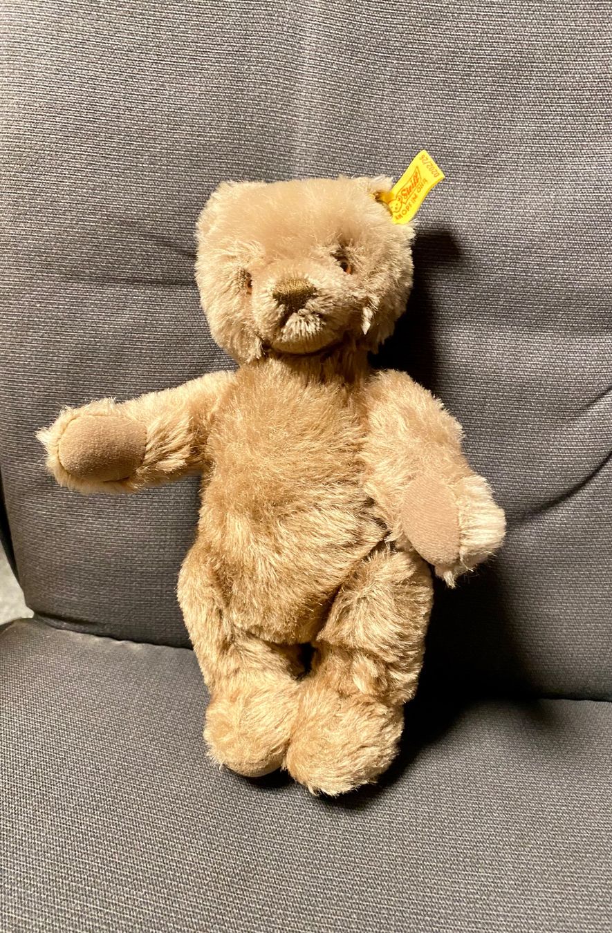 Steiff Jouets: Steiff Teddybär – D'occasion à Neuenhof par v_trin 2