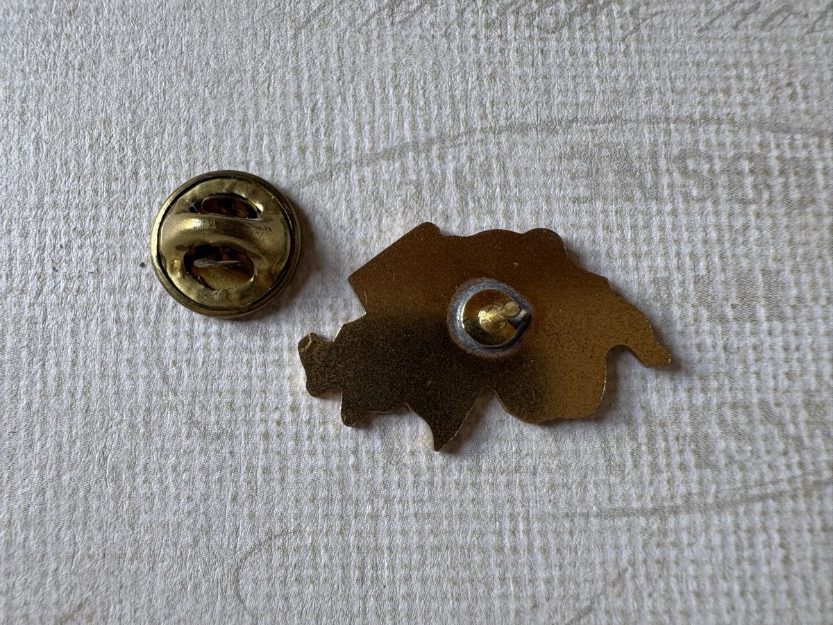 Placchette & Badge: Pin - Suisse - Schweiz - 90er – Usato da Zweisimmen venduto da Domii 3