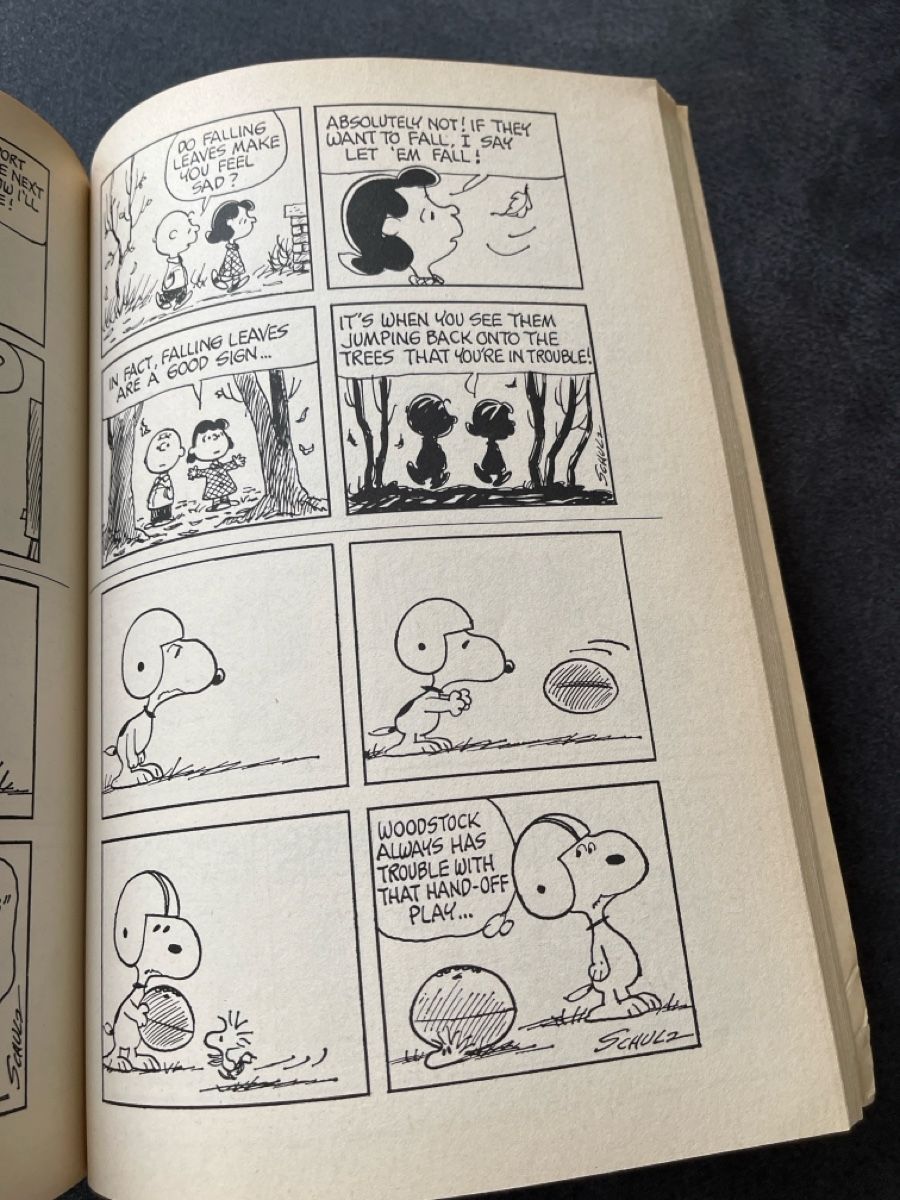 BD: Peanuts Comic Buch "How Long, Great Pumpkin, How Long" – D'occasion à Niederhasli par Suneblueme 4