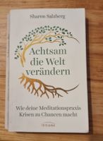 Achtsam die Welt verändern von Sharon Salzberg