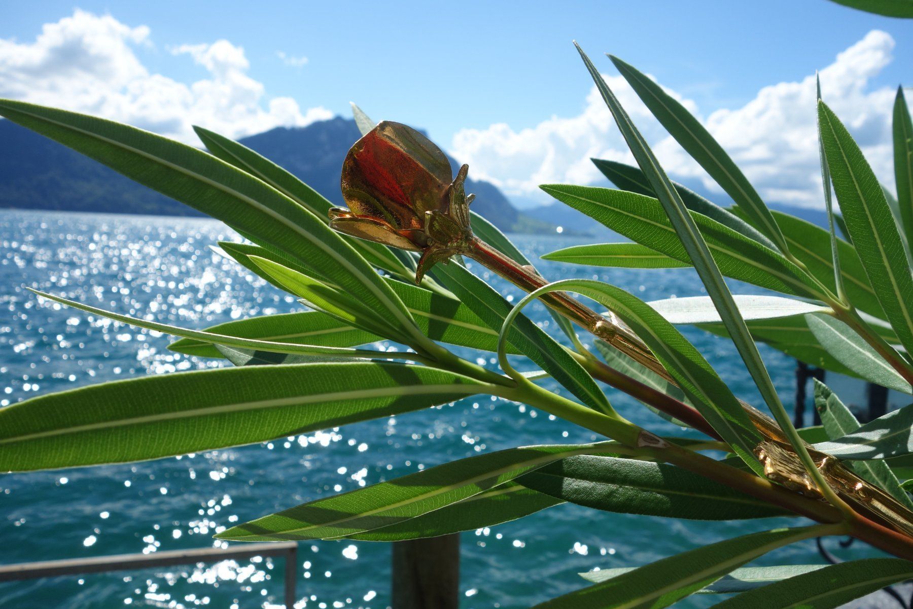 Altri gioielli: Rose "goldfarben" Zinn – Usato da Weggis venduto da Giorgio3005 8
