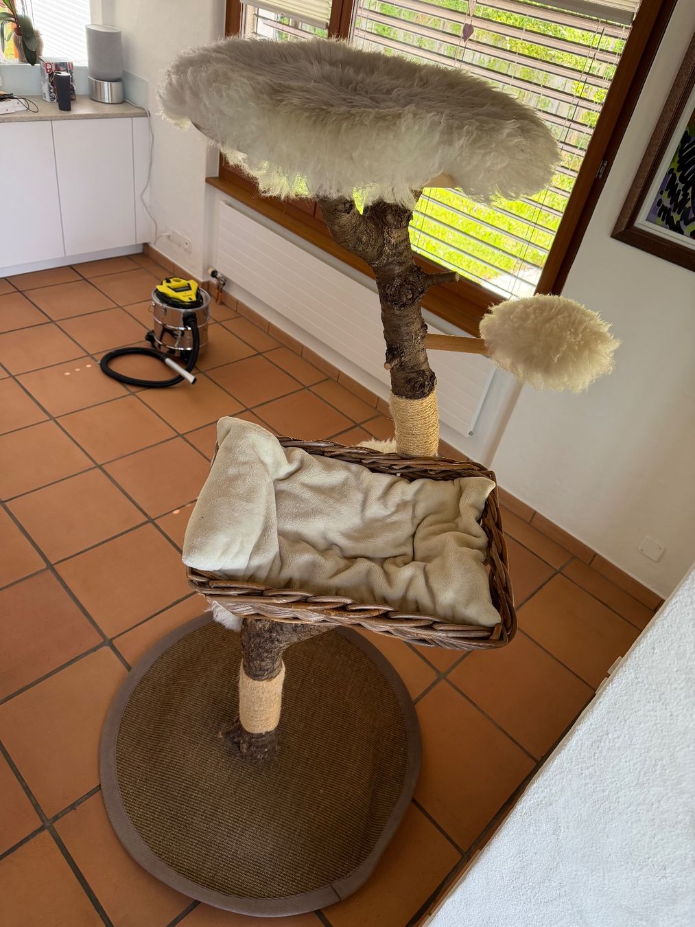 Tiragraffi: Kratzbaum Naturholz Baumartig – Usato da Oberägeri venduto da kaitanja 2