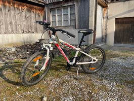 Specialized Hotrock Kinderfahrrad Velo 20 Zoll