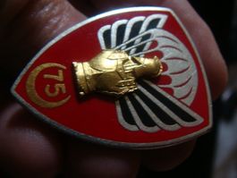 Bel insigne militaire Français.