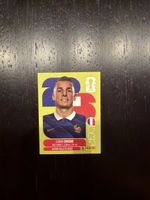 Panini Digne