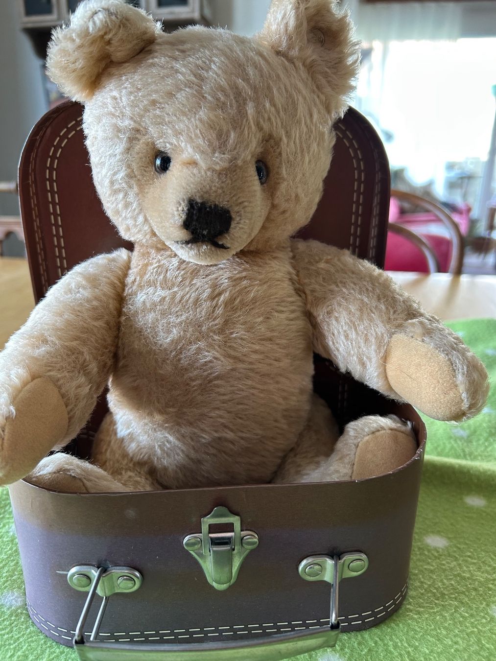 Steiff Giocattoli: Steiff Teddy mit Koffer – Usato da burgdorf venduto da baenzlicat 6