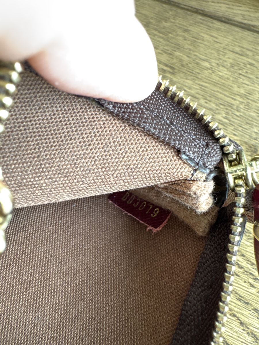Louis Vuitton Borse da donna: Louis Vuitton Mini Pochette limited edition -Great Condition – Nuovo (secondo la descrizione) da Winterthur venduto da Wavaa 4