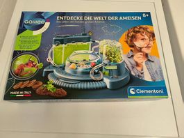 Ameise Entdeckungs Box