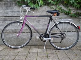 Cresta Herrenvelo / Fahrrad violett-schwarz gebraucht