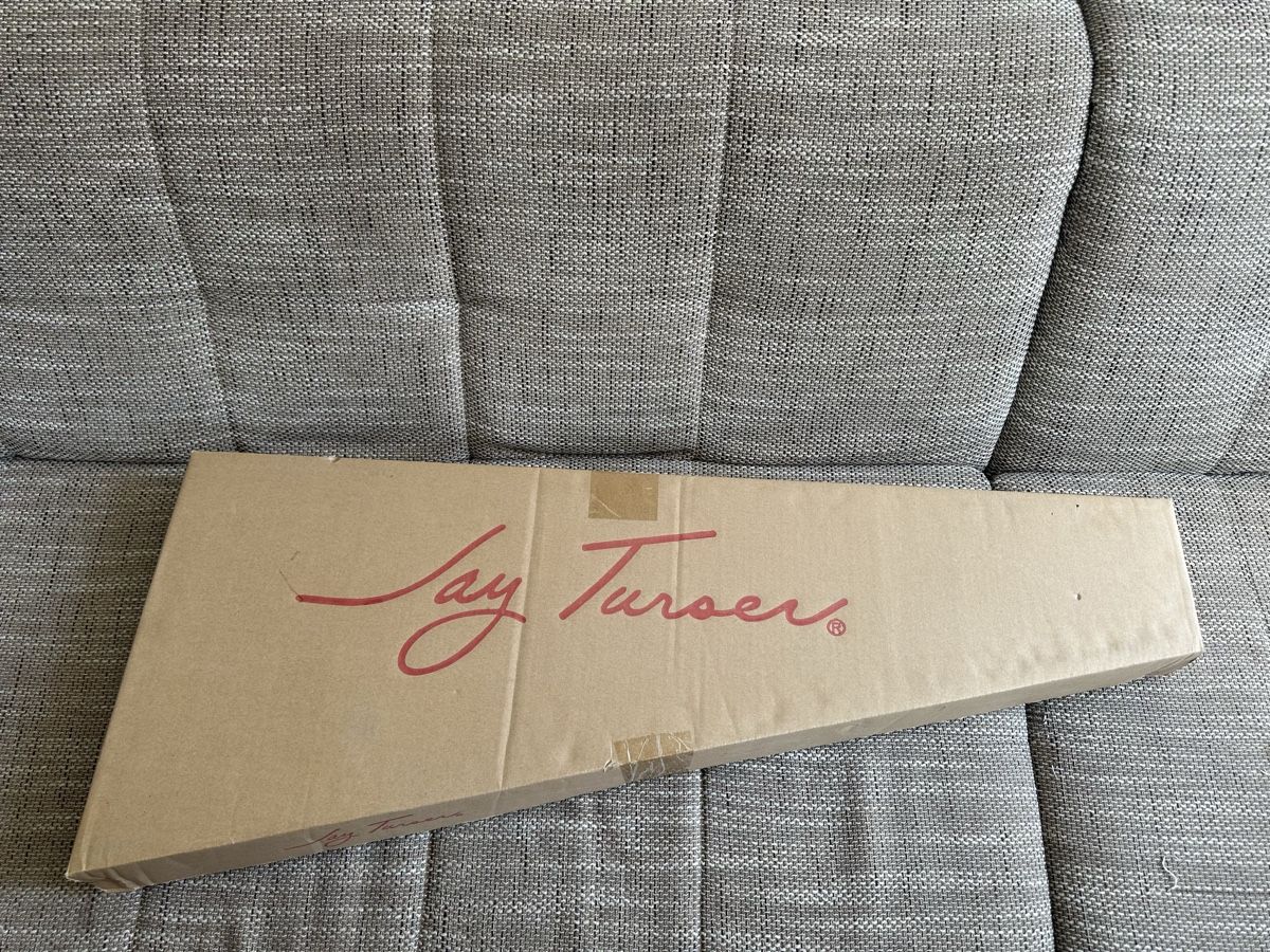 Strumenti musicali: Jay Turser E-Gitarre JT-300 – Usato da Schaffhausen venduto da man_n65x 1