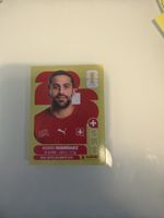 Panini Sammelbild Ricardo Rodriguez SUI 5