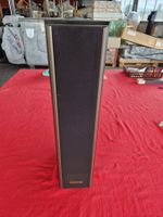 Technics Lautsprecher SB-LV500  100/200 Watt  8 Ohm Rarität