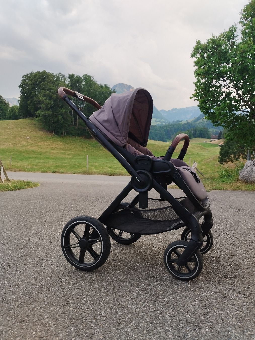 Hauck Carrozzine: Poussette réversible - Hauck Walk N care – Usato da Sciernes-d'Albeuve venduto da gabrielRU 1