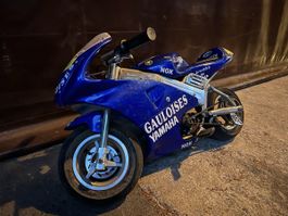 🔵 Pocketbike 50ccm 🔵