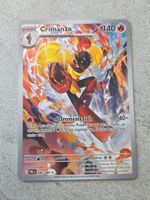 🇩🇪 Pokemon 》Dunkelnacht 》gemäss Bild