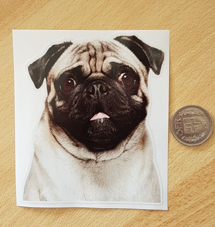 MOPS Auto Aufkleber Neu 13x11cm Kaufen auf Ricardo