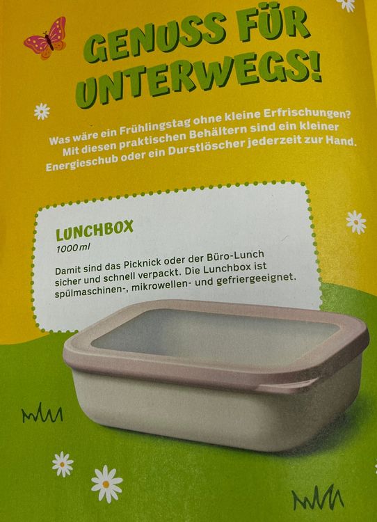 Coop Contenitori & Simili: Lunchbox Frischhaltedose Picknick 1000ml Grau – Nuovo e nell'imballaggio originale da Glattfelden venduto da cybermaxx 1