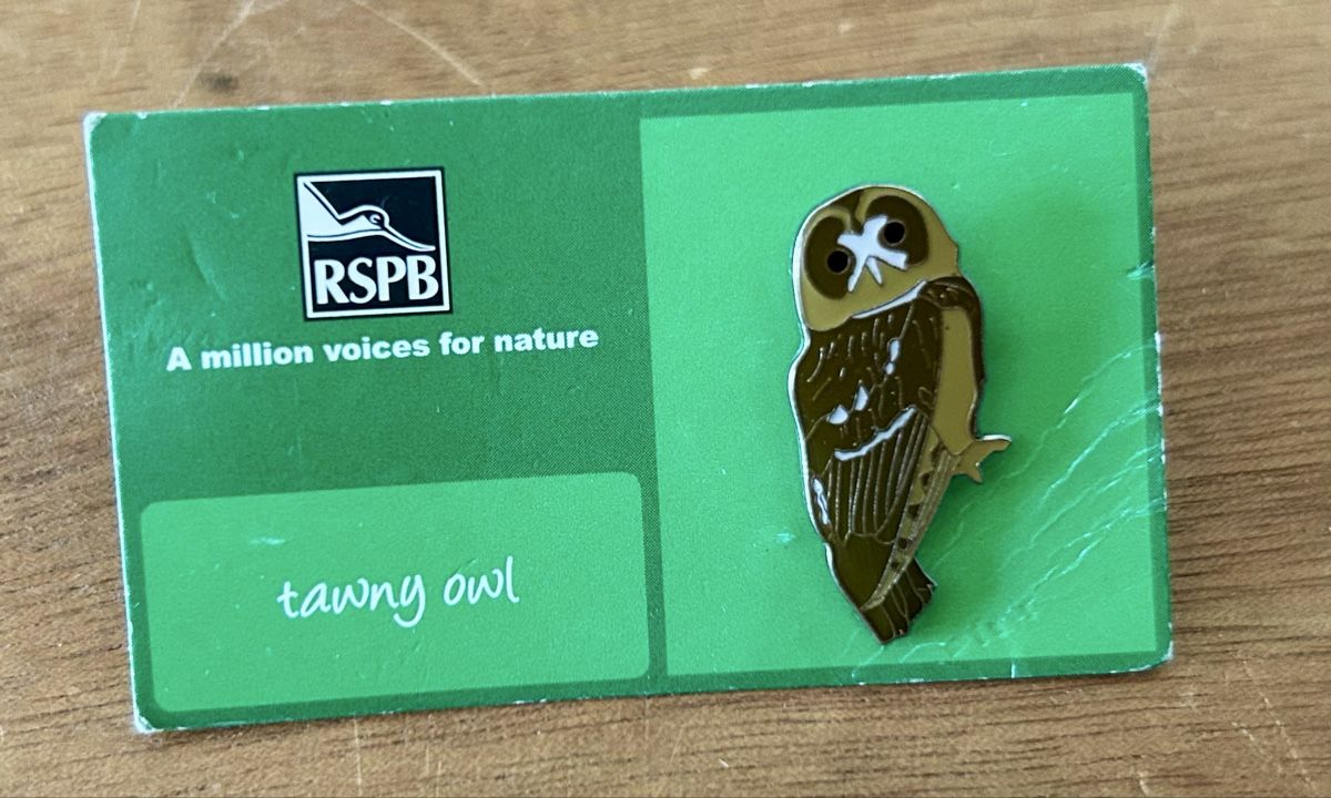 Placchette & Badge: RSPB Pin Waldkauz – Nuovo (secondo la descrizione) da Zürich venduto da ann_9fv5