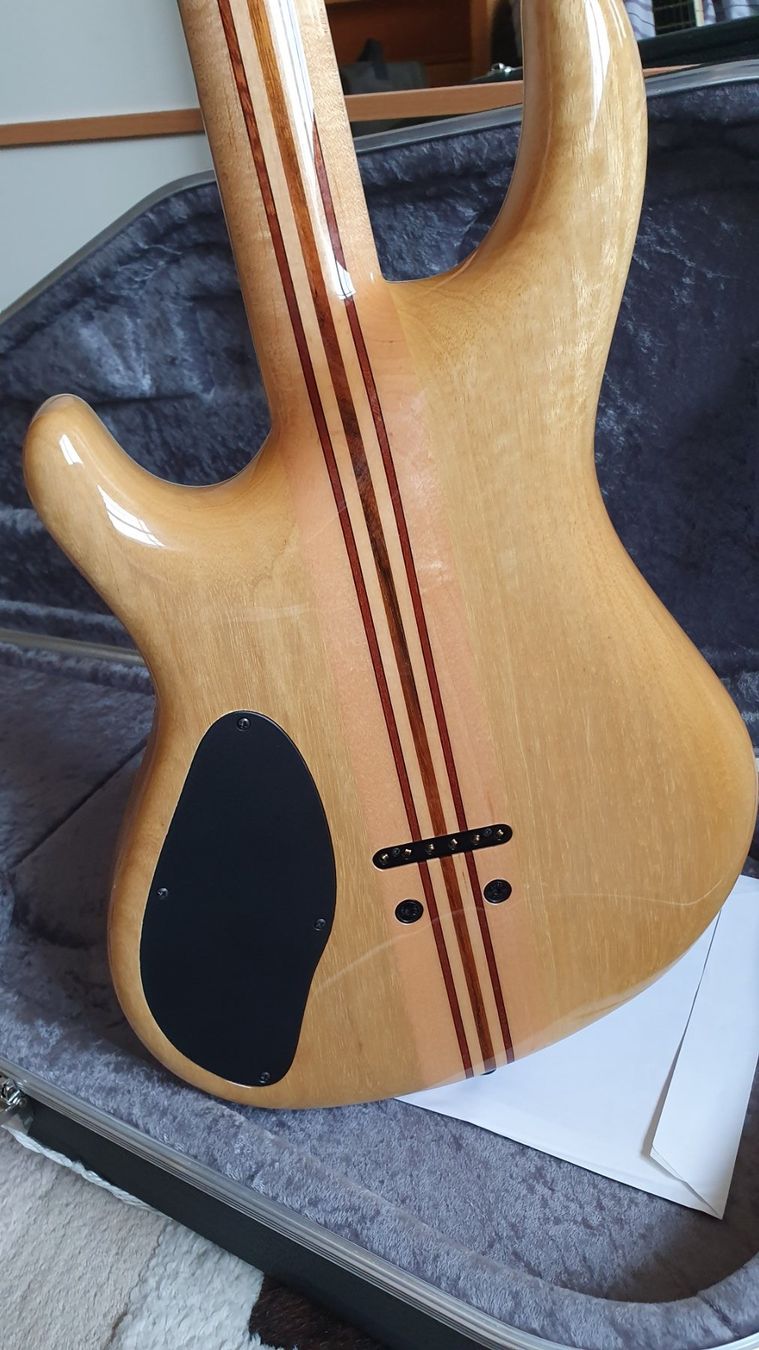 Strumenti musicali: Mayones Regius 6 Custom Shop – Usato da Fribourg venduto da wis_7b6y 4