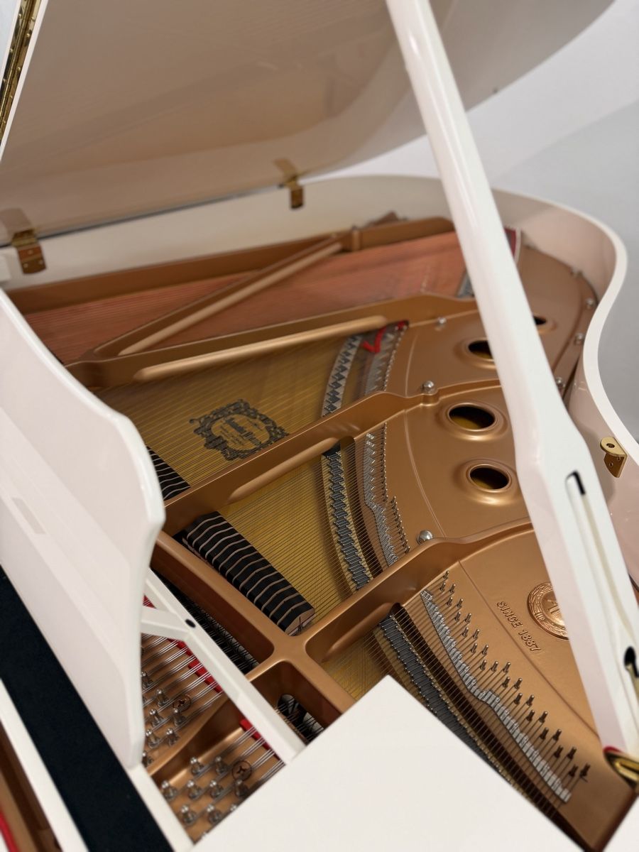 Yamaha Strumenti musicali: Yamaha C3 PWH – Nuovo e nell'imballaggio originale da Niederhasli venduto da Musikhaus-Ammann 2