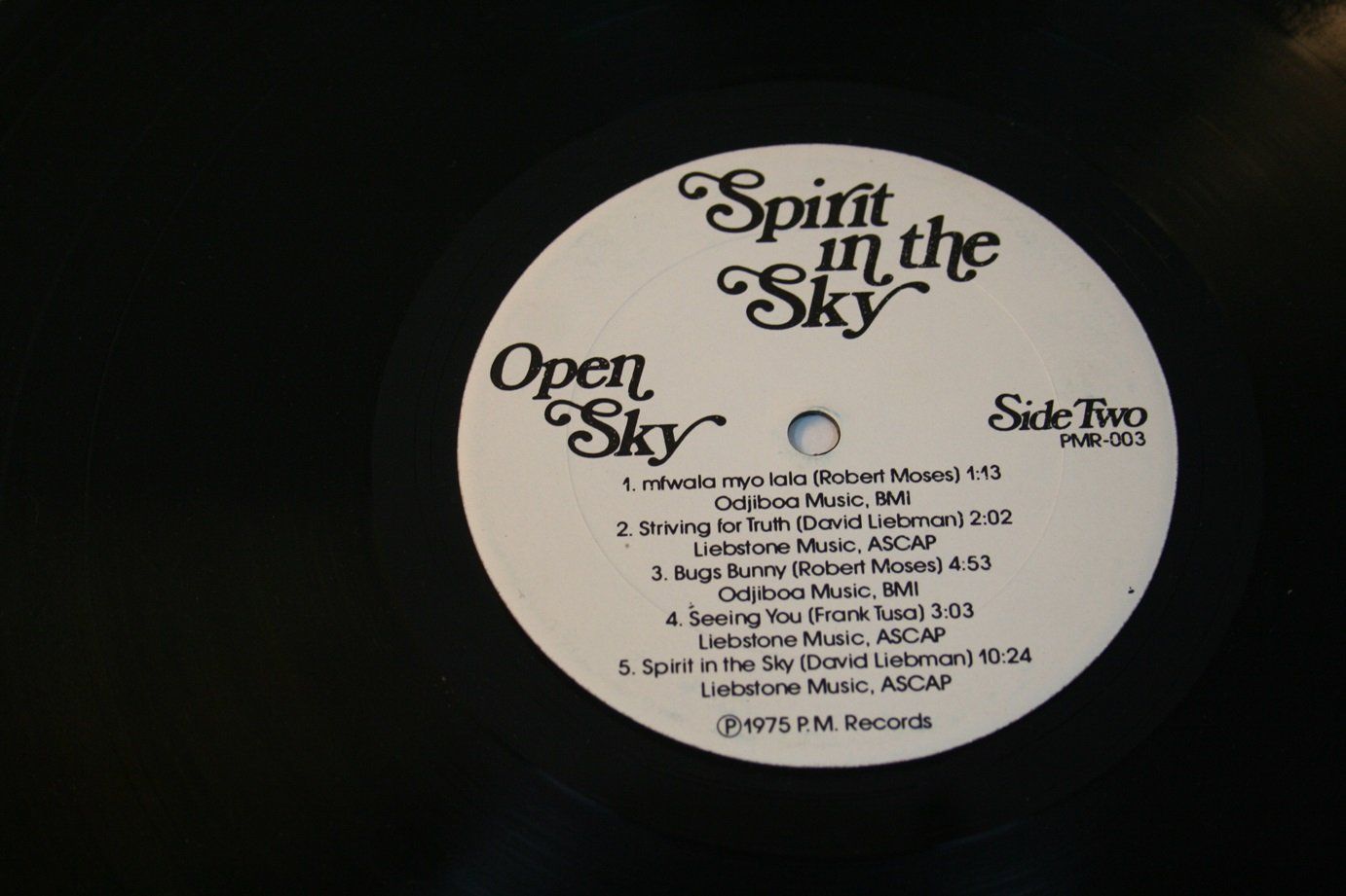 Dischi in vinile: Spirit in the Sky - Open Sky, LP – Usato da Wettingen venduto da zibi137 1