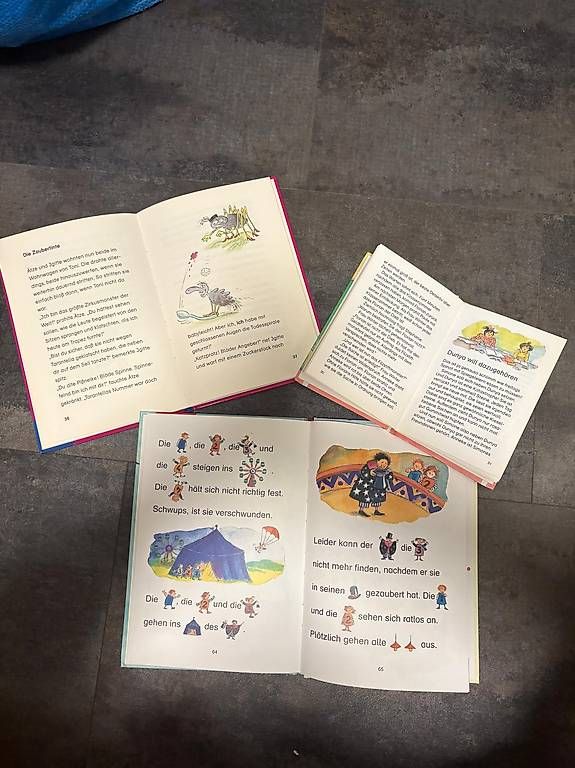 Libri: Leselöwe - 1. Lesebücher – Usato da Rueras venduto da fscw 2
