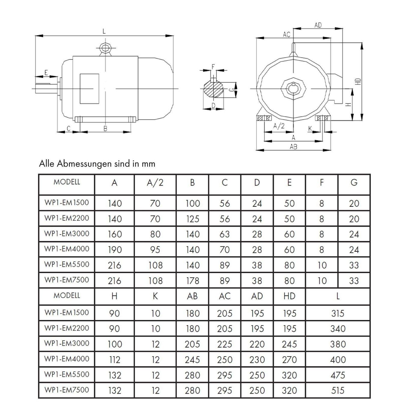 Elettrotecnica: Eberth WP1EM5500 Elektromotor 400V 5.5kW – Nuovo e nell'imballaggio originale da Bottighofen venduto da zaap 8