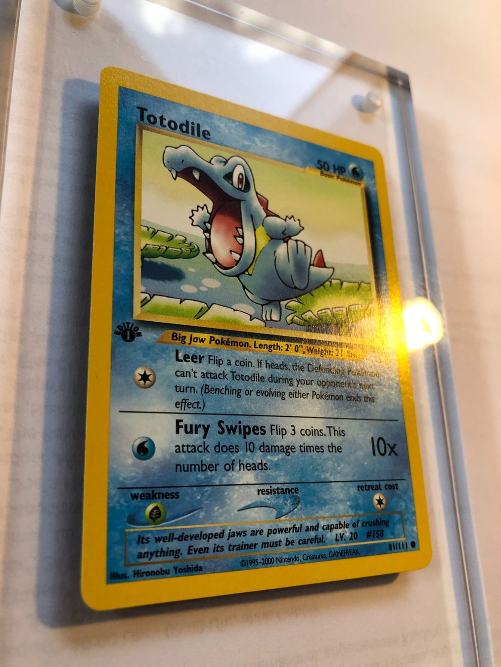 Sammelbilder & Trading cards: Totodile 1st Neo Genesis - MINT - ab 1.- – Gebraucht aus Giubiasco von dan_pr8b 1