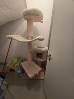 Katzenbaum