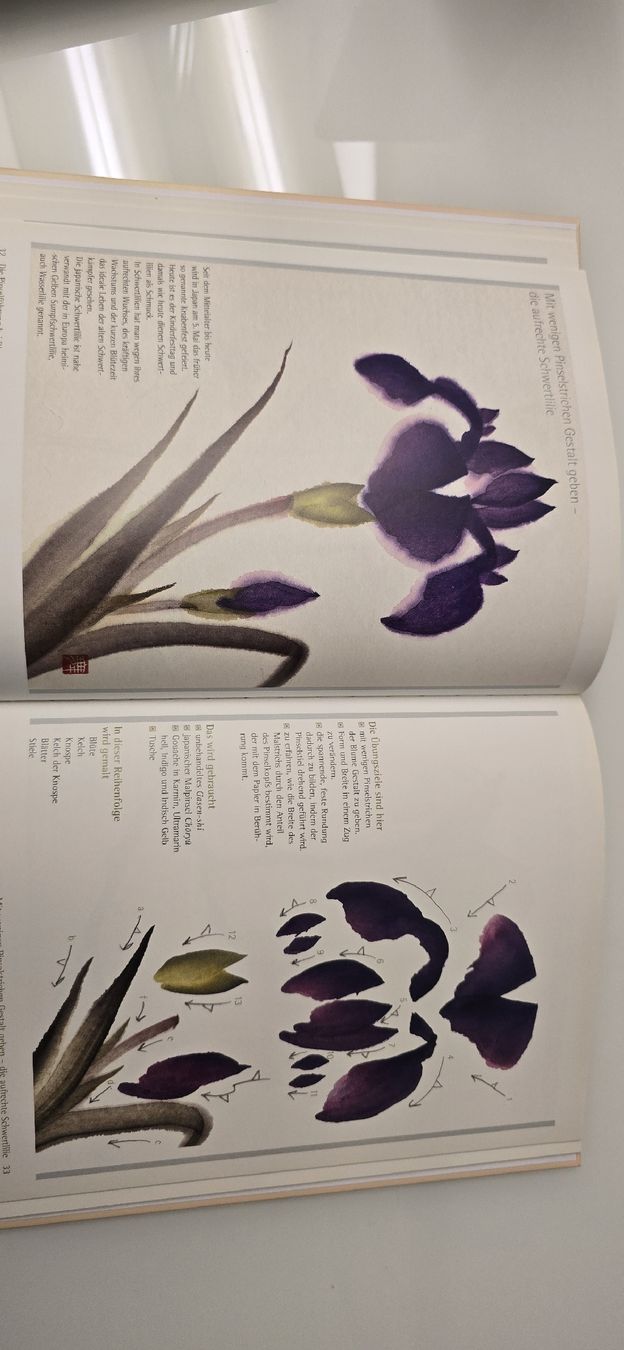 Libri: japanische Blumen- und Tuschmalerei – Usato da Ostermundigen venduto da Velora 6