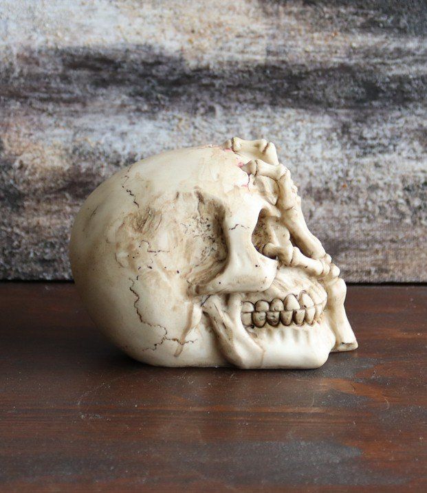 Figuren: Totenkopf mit Klauenhand – Neu und originalverpackt aus Menziken von mrpaedu 1