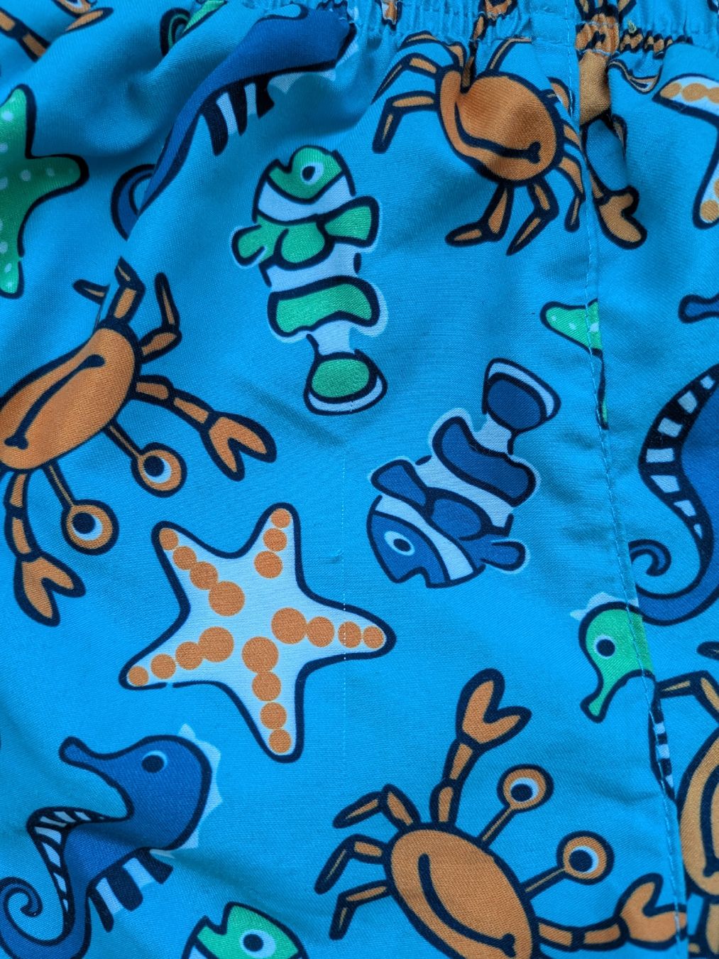 Badehosen: Badeshorts Baby Junge Grösse 86 – Gebraucht aus Eschenbach SG von SanFranciscoCalifornia 2