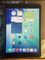 Apple iPad 8 32GB Wi-Fi in gutem Zustand, Akku 94%