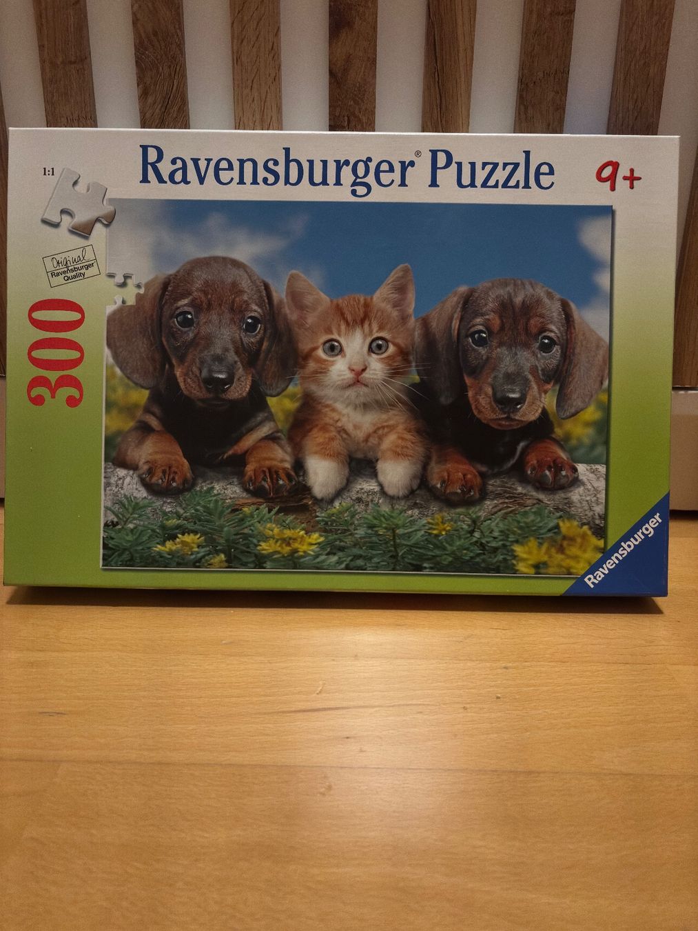 Ravensburger Puzzles: Puzzle 300 Teile – Gebraucht aus Herdern von Chavymet