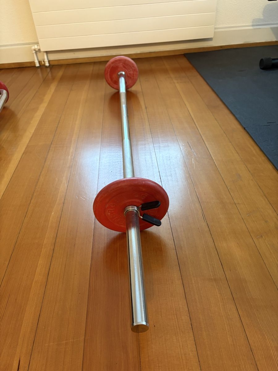 Hanteln & Gewichte: Gym Hantel Set – Gebraucht aus Basel von anschla. 4
